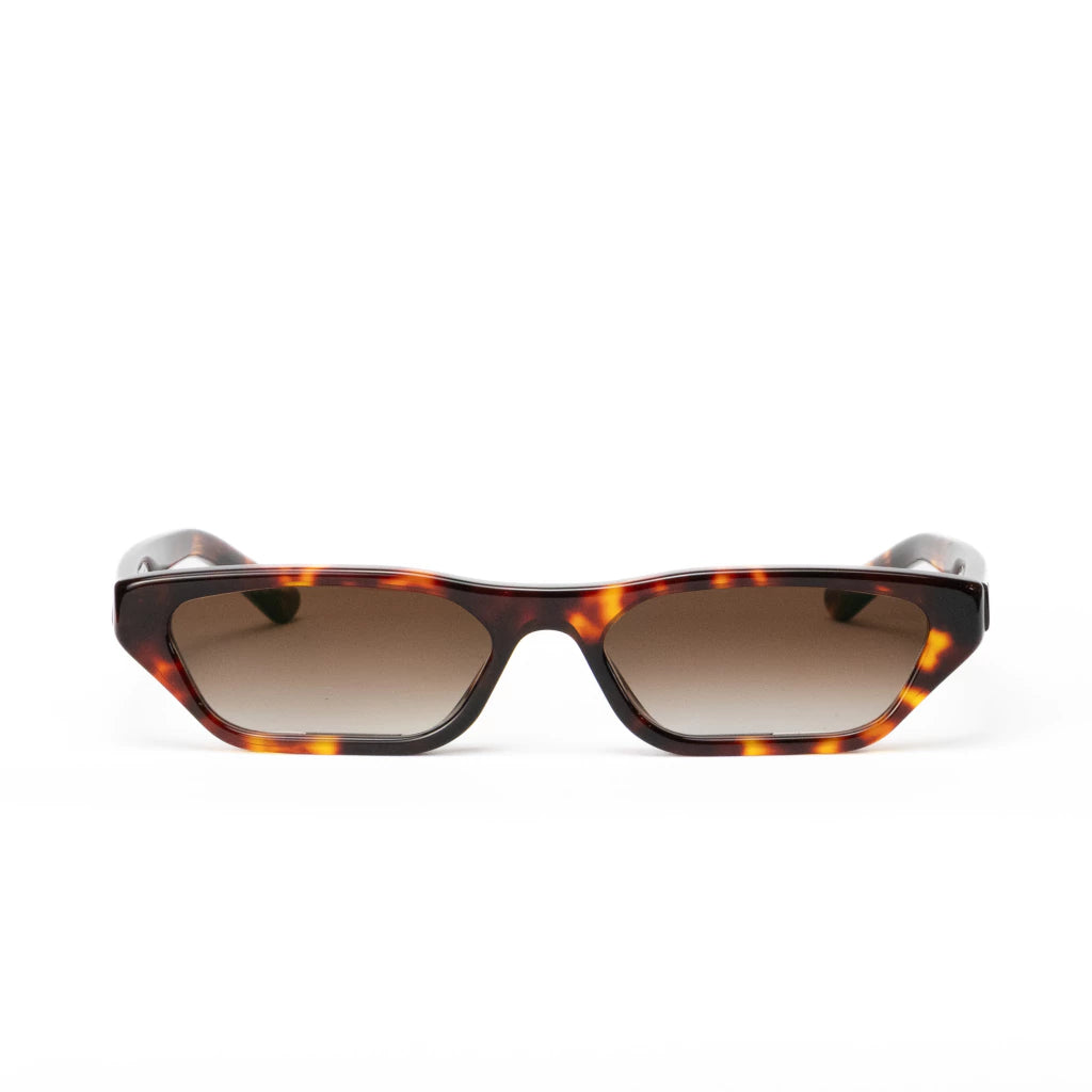Lusion X Carey 03